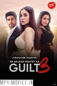 Ek Anjaan Rishtey Ka Guilt 3 (2024) Hindi Movie poster