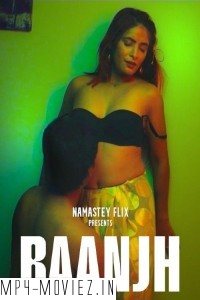 Baanjh (2024) Namasteyflix Hindi Unrated WebSeries