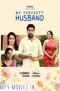 My Perfectt Husband (2024) Hindi Web Series