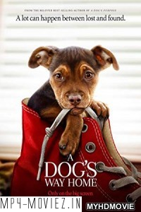 A Dogs Way Home (2019) Hindi Dubbed poster