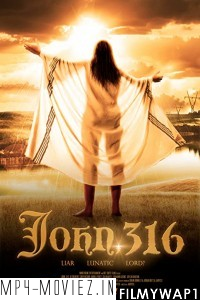 John 316 (2020) Hindi Dubbed poster