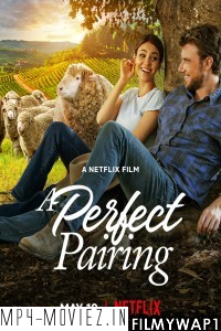 A Perfect Pairing (2022) Hindi Dubbed