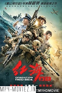 Operation Red Sea (2018) Hindi Dubbed