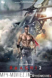 Baaghi 2 (2018) Bollywood Movie