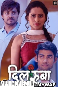 Dilruba (2023) PrimeFlix Original