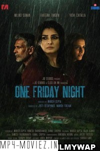 One Friday Night (2023) Hindi Movie poster