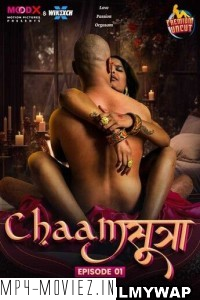 Chaam Sutra (2024) MoodX Hindi Unrated Web Series